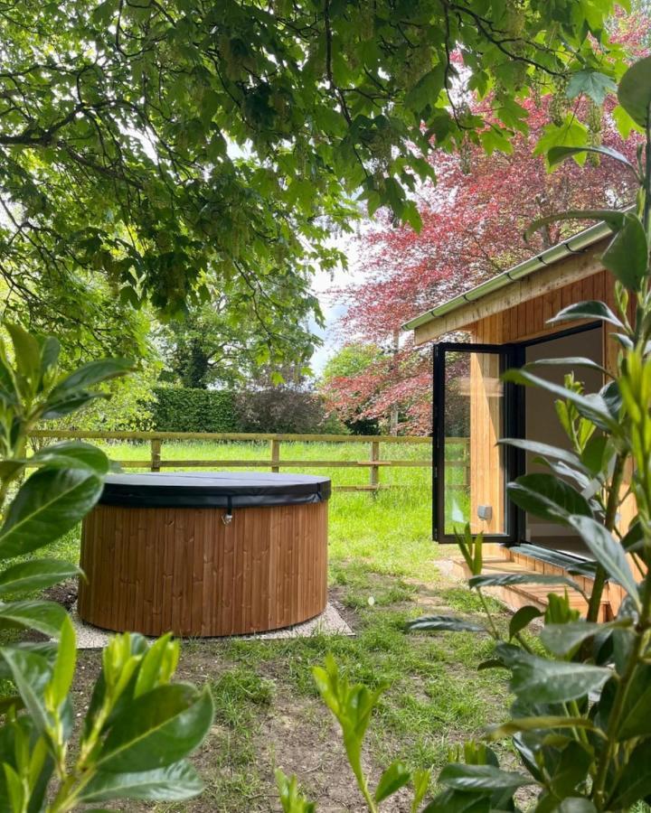 The Weeping Willow Bury St. Edmunds エクステリア 写真